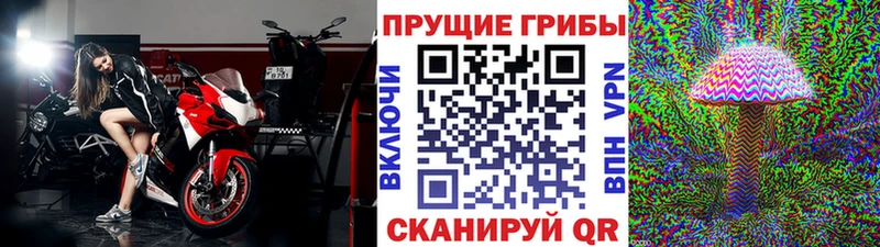 Галлюциногенные грибы ЛСД купить наркоту Ишим